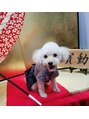 ココ(COCO) トイプーで9才の愛犬です(^^)