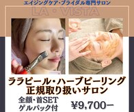 ラ ヴィスタ 川崎店(La Vista)