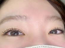 ラルゴ(LARGO)/フラットラッシュ100本