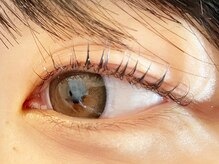 マイアイラッシュ(Mai eyelash)/アミノ酸まつ毛パーマ