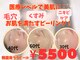 せんすの写真