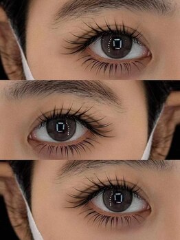 アオイ アイラッシュ 大久保店/猫系ワンホン