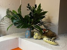 アロハ整骨院はりきゅう院の雰囲気（ウイガメも生息しています）