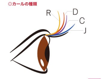 エステサロンメイ 美(MEI)/Dカールより強いカールです