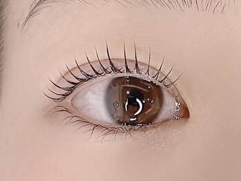 エニフ(Enif)/デザインまつ毛パーマ