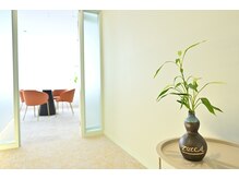 エムツビューティサロン(M2 beauty salon)/観葉植物