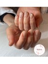 シルクマグネット