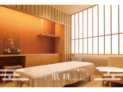 肌耕の写真