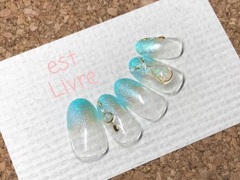 エストリブレ(estLivre)/オパールネイル