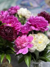 オンディーヌ 名古屋 石原 由視