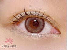 デイジーラッシュ 神戸三宮店(Daisy Lash)/まつげパーマ/パリジェンヌ/神戸