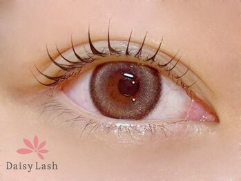 デイジーラッシュ 神戸三宮店(Daisy Lash)/まつげパーマ/パリジェンヌ/神戸