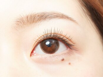 アイラッシュメゾンアンドゥ (eyelash maison undeux)/キュート100本