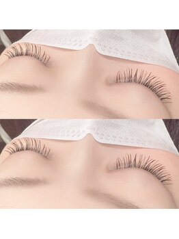 フーフロー(Fooflow)/フラットラッシュ120本