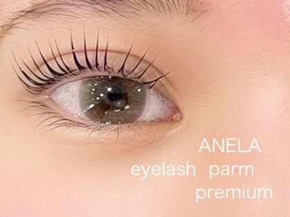 ANELA 鳳店 【アネラ】の写真