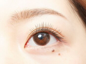 アイラッシュメゾンアンドゥ (eyelash maison undeux)/キュート120本