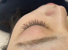 ジョリー(Jolie)/