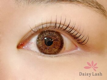 デイジーラッシュ 神戸三宮店(Daisy Lash)/まつげパーマ/パリジェンヌ/神戸