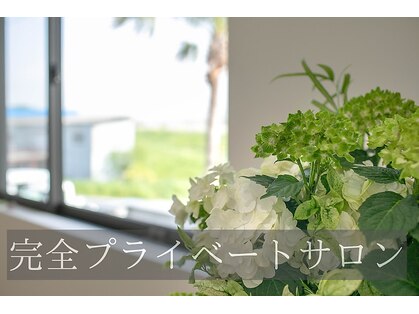 ランドル(rendre)の写真