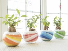 ネイルサロン ダイヤモンドの雰囲気（カワイイ植物や小物もお出迎え…♪）