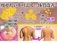 アメリオレ 国分寺店(AMELIORER)の雰囲気（痩身マシン【セルスリム】×【牛角カッサ】効果的な組み合わせ◎）