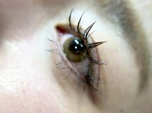 イオロ(iolo)/ボリューム付け足し推奨◎