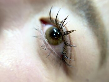 イオロ(iolo)/ボリューム付け足し推奨◎