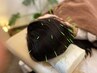 【つらい睡眠のお悩み】鍼灸×整体　90分￥14,300→￥11,000