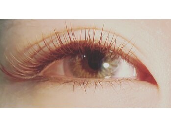 ミー(Me.)/上まつ毛　付け放題(ALL BROWN)