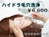 【毛穴詰まり、皮脂にお悩みの方】ハイドラ毛穴洗浄＋植物幹細胞パック¥6,600