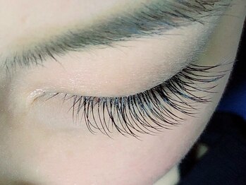 ナロ(naro)/セーブル120本