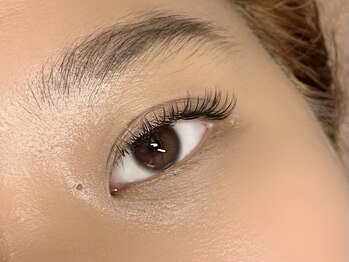 アンディ(ANDY)/フラットラッシュ120本