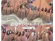 ビューティーアンドネイル エース(Beauty&Nail Ace)の写真