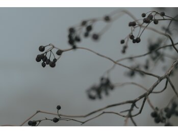 シックナゴヤ(ciqk' NAGOYA)/