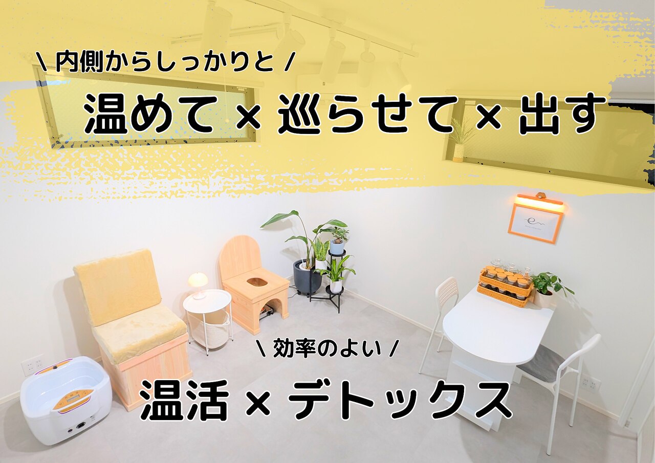 えみちえる　ゴッドクリーナー ゴッドクリーナーゴールド(足浴器)用電極カートリッジ / プロ