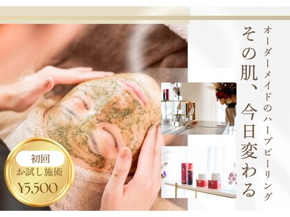 ホヌ(Honu)の写真