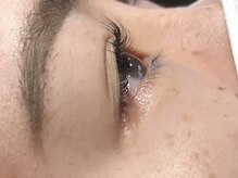 ピクシーボブ(Pixie Bob)/★マツパ、直角スタイル