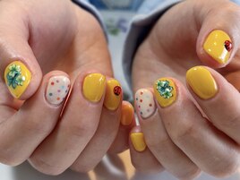 Hand Standard plan 301.