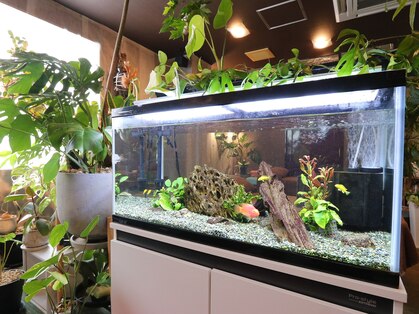 もみほぐし亭 大分駅前店の写真