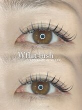 エシカ ウィズ レヴィエリス(ethica with Re’VIELISS)/ダブルフラット80束