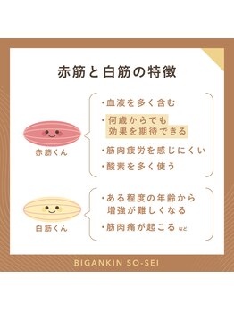 エステサロン アールスタイル(R-style)/赤筋と白筋の特徴