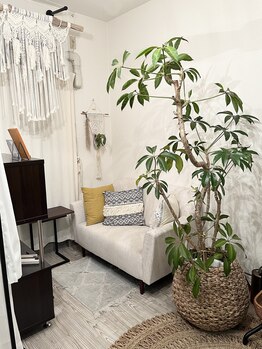 コロレ(COLORE)/店内