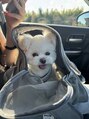 リア 蕨店(lia)&nbsp;愛犬とお出掛けします！［蕨/川口/まつげパーマ/エクステ/眉］