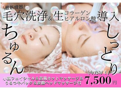 レティシア(Leticia)の写真