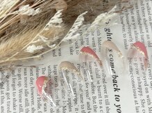 ベーシック 町田本店(Basic)/4月Jr.定額デザイン