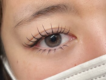 ハオルチア(Haworthia)