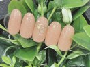 ハンド定額シンプルコース