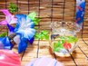 ★☆お盆ウィーク限定《平祝日》☆★整体＆もみほぐし 70分3300円 【8/17迄】