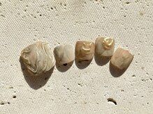 ラフバイディアブルー(Laugh by diarblue)/diar blue 冬デザイン＊