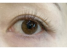 シッポ(Sippo)/ブラウンフラットラッシュ